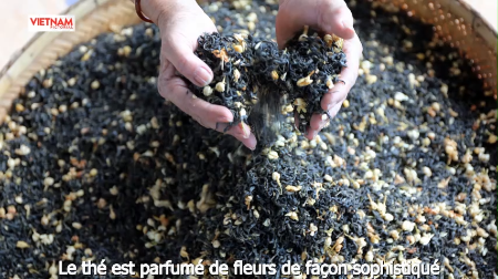 Thé parfumé au fleurs Blao, la fragrance emblématique de Bao Lôc
