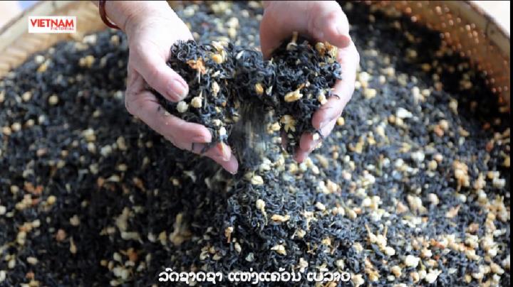 ລົດຊາດຊາ ແຫ່ງແຄ້ວນ ເບີລາວ