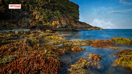 Amazing Coral Reefs on Land