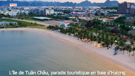 Lîle de Tuân Châu, paradis touristique en baie dHalong