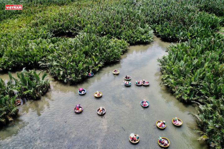 Khám phá Cẩm Thanh, ngôi làng đẹp nhất thế giới của Việt Nam