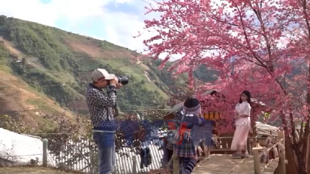 La féerie des fleurs Tớ Dày dans les hautes montagnes de Mù Cang Chải