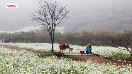 목쩌우, 서북부 구름 위에서 펼쳐지는 봄의 초원