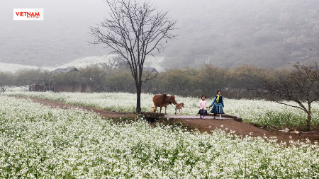 木州：西北云天间的春天草原