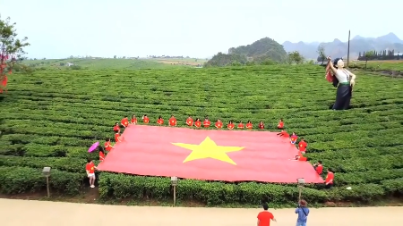 Les collines de thé de Moc Chau – Une destination attrayante pour les touristes