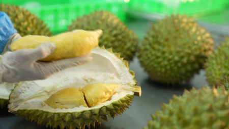 2025년 베트남 채소 및 과일 수출액 역대 최고치 기록