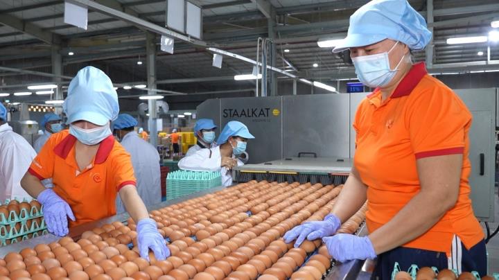 Indonesia thúc đẩy hợp tác với Việt Nam trong chuỗi cung ứng Halal toàn cầu