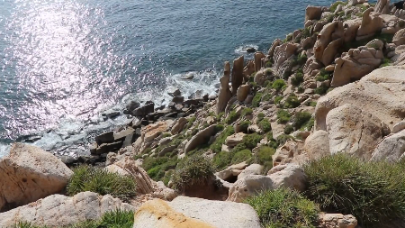 ទេសចរណ៍ឆ្លងបទពិសោធន៍ ជួយបង្កើនភាពទាក់ទាញរបស់ខេត្ត Khanh Hoa 