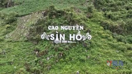 Plateau de Sin Hô – Joyau caché des montagnes de Lai Châu