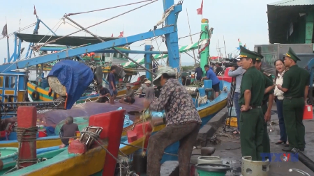 Provincia vietnamita refuerza la supervisión para frenar la pesca ilegal