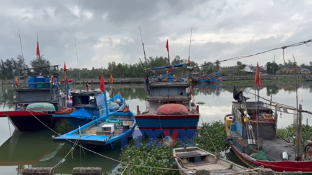 推进捕捞船队结构重组 保护近海渔业资源