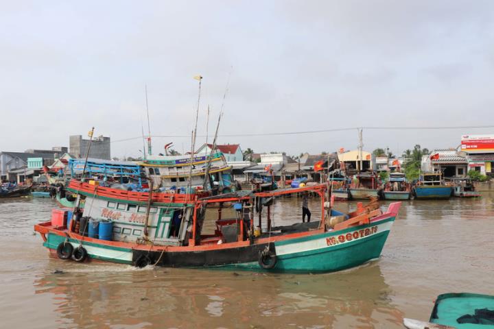 岘港力争消除非法、不报告和不管制捕捞