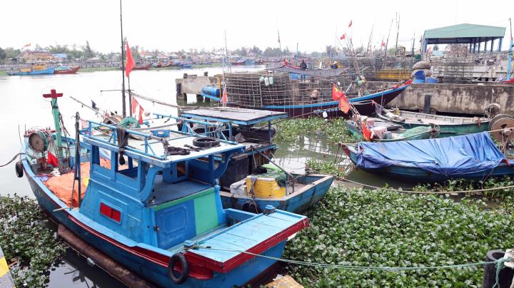 Da Nang moves towards eliminating IUU violations