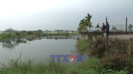 广治省宁洲乡红鲤鱼村灶王节备货忙