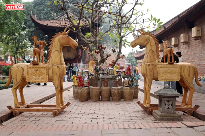 Ngựa về phố – Hơi thở đại ngàn giữa Thủ đô