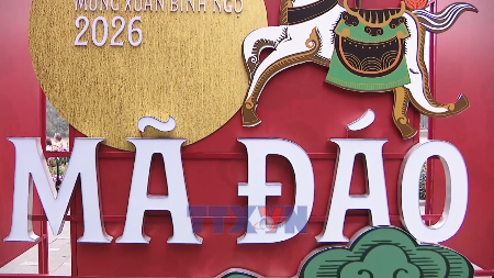 Horse-themed art exhibition draws spring crowds in Hanoi