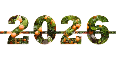 新春出游：不容错过的旅游目的地