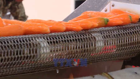 Agricultural exports gain strong early-year momentum