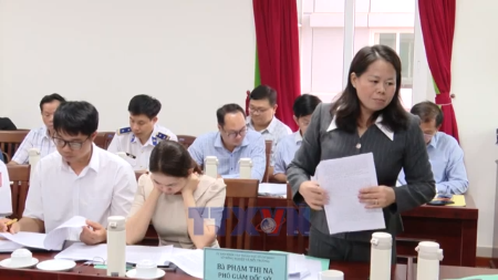 胡志明市收紧船队管理 准备迎接欧委会打击IUU检查团