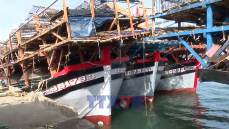 岘港市渔民新年首航热闹出海