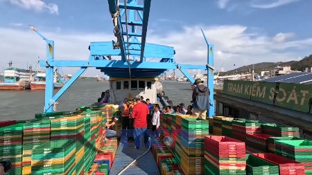 Ho Chi Minh City tightens fleet management, ready to welcome EC inspectors