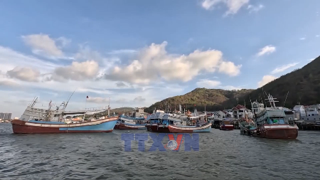 ទីក្រុងហូជីមិញរឹតបន្តឹងការគ្រប់គ្រងកងនាវា ដោយត្រៀមខ្លួនស្វាគមន៍អធិការកិច្ច EC