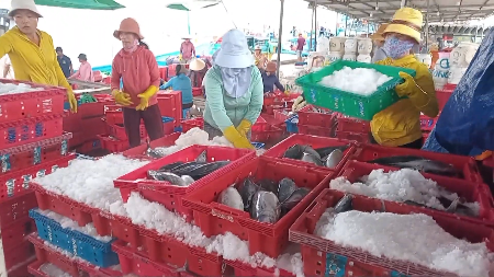 ດ່າໜັງ ປັບປຸງໂຄງປະກອບກຳປັ່ນຫາປາ ຄືນໃໝ່ ເພື່ອປົກປັກຮັກສາຊັບພະຍາກອນແຄມຝັ່ງ