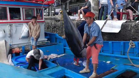 Bumper harvest for Khanh Hoa fishermen in early year