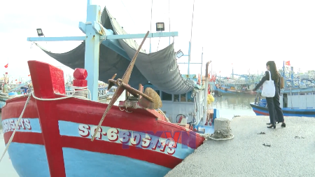 Ho Chi Minh City steps up inspections to combat IUU fishing