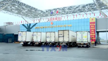 广宁芒街国际口岸试点周末通关 为两国企业创造便利条件