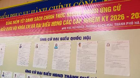 数字化转型——选举工作引人关注的新亮点