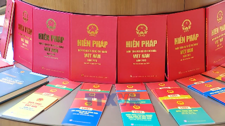 Fifteen National Assembly elections mark Vietnams democratic journey