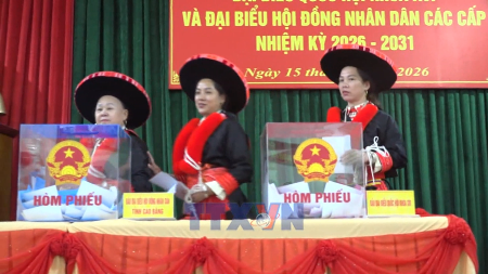 전국 유권자 99% 이상 투표 참여