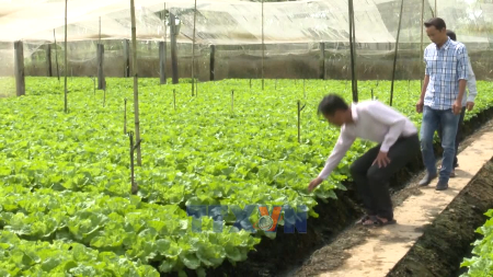 加大科学技术应用 扩大安全蔬菜种植区
