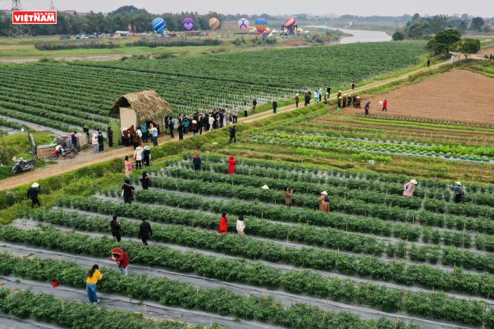 Trải nghiệm du lịch xanh ở xã Đa Phúc