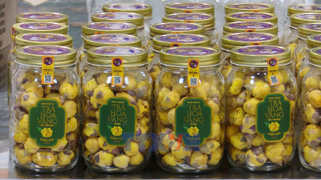 ແຂວງ ນິງບິ່ງ ຊຸກຍູ້ຄວາມຍືນຍົງ ໂດຍຜ່ານການເຊື່ອມໂຍງ ກະສິກຳ ກັບ ການທ່ອງທ່ຽວ