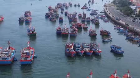 Куангчи ужесточает контроль за рыболовным флотом в целях борьбы с ННН-промыслом