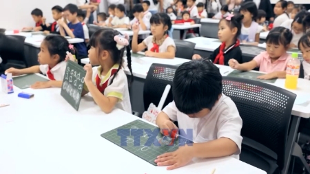 致力于在海外越南人社区守护越南语