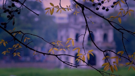 Vietnams tourism maintains strong growth momentum