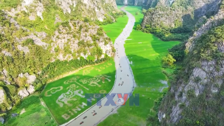 À Ninh Binh, une immense œuvre dart pousse… dans les rizières