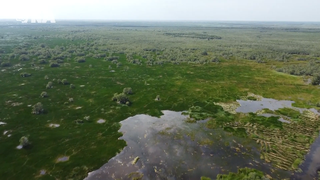 Tram Chim wetland ecosystem revived