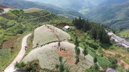 Хазянг и Хойан оказались в центре мирового внимания в рейтинге Time Out