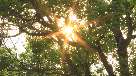 Lai Chau ethnic groups preserve cultural identity in integration era