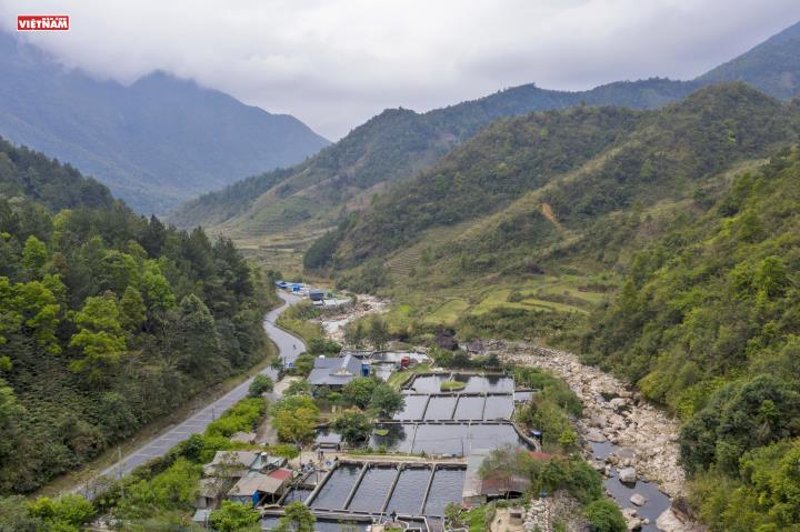 Nuôi cá tầm dưới chân đèo Ô Quy Hồ