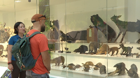 Le Musée de Cuc Phuong sensibilise à la protection de la nature
