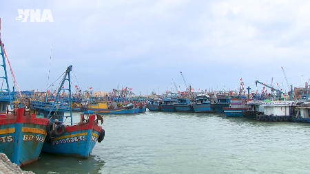 Gia Lai expands electronic fishing log coverage to combat IUU fishing