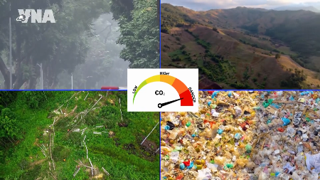 Transición verde: un camino inevitable hacia el desarrollo sostenible