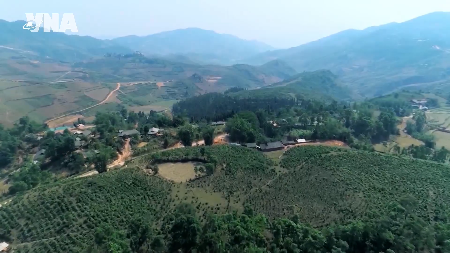 Dien Bien taps into agricultural tourism potential