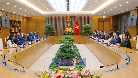 Vietnam, Angola strengthen practical cooperation across multiple fields