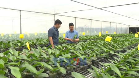 清化农民积极推进数字化转型与技术转让